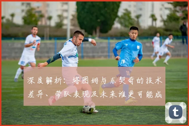 深度解析：塔图姆与东契奇的技术差异、带队表现及未来谁更可能成为联盟门面